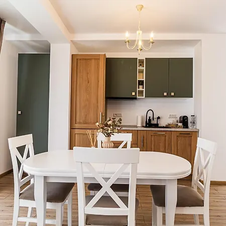 Luxury Cozy Collection In Lejlighedshotel Braşov